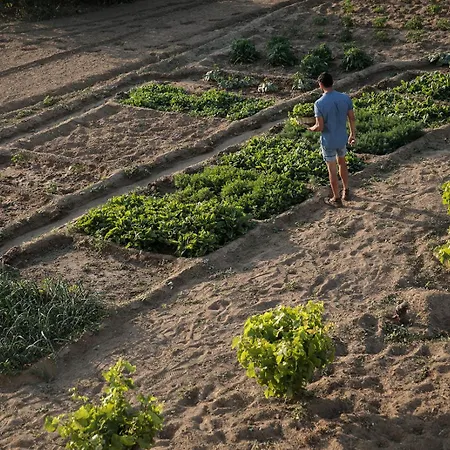 Naxian Life 别墅 *