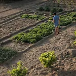 Naxian Life Вилла *