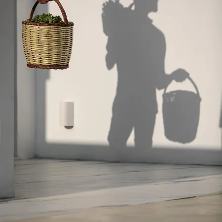 Villa Naxian Life *