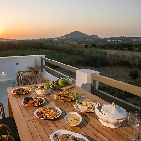 Villa Naxian Life